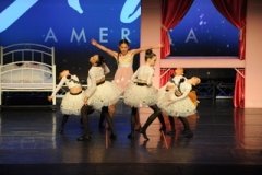 Ballet Dance America Show